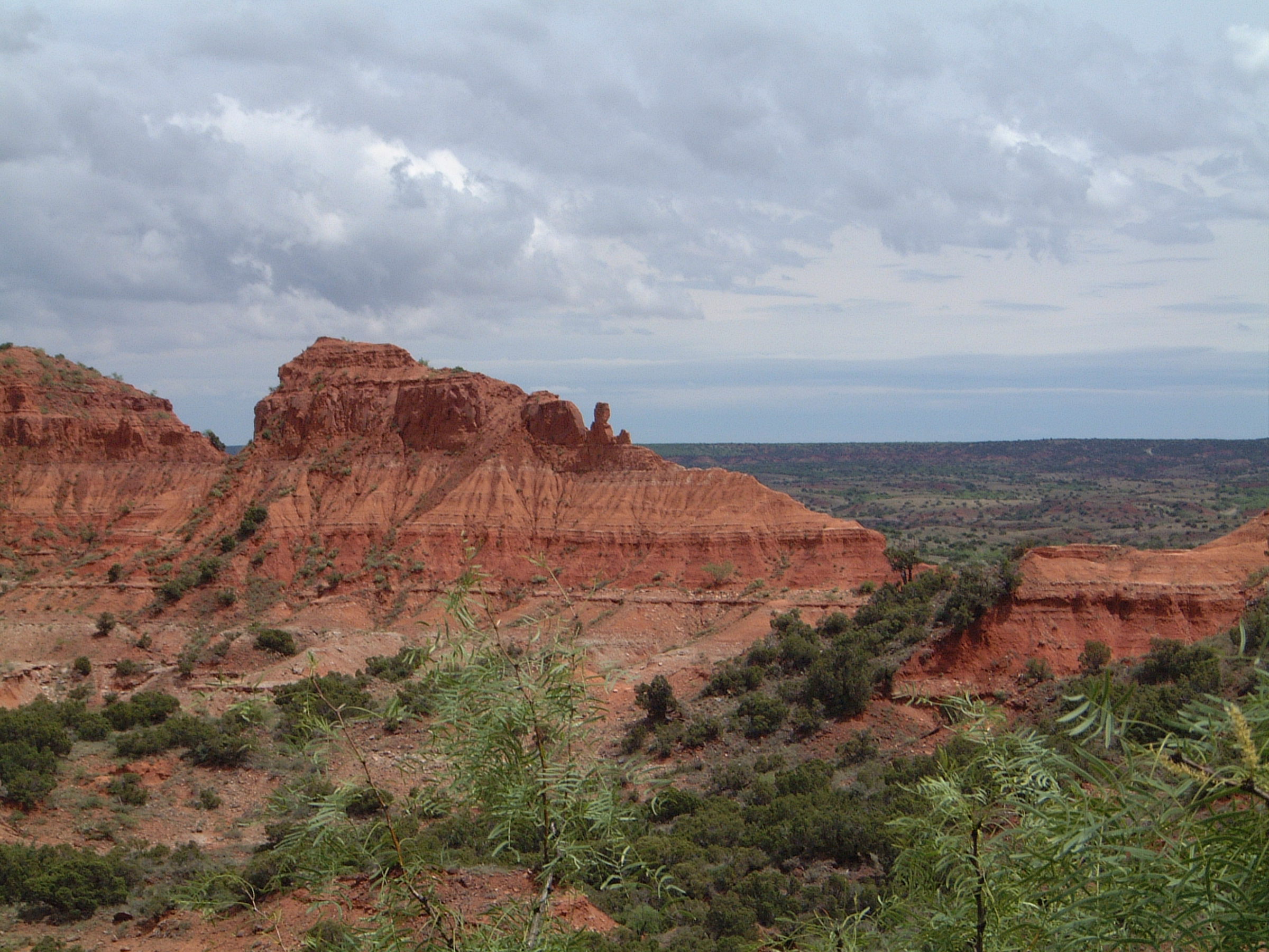A landscape view of a desert canyon with red rock formations under a cloudy sky, featuring sparse vegetation and distant shrub-covered terrain.