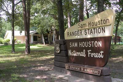 Houston National Forest