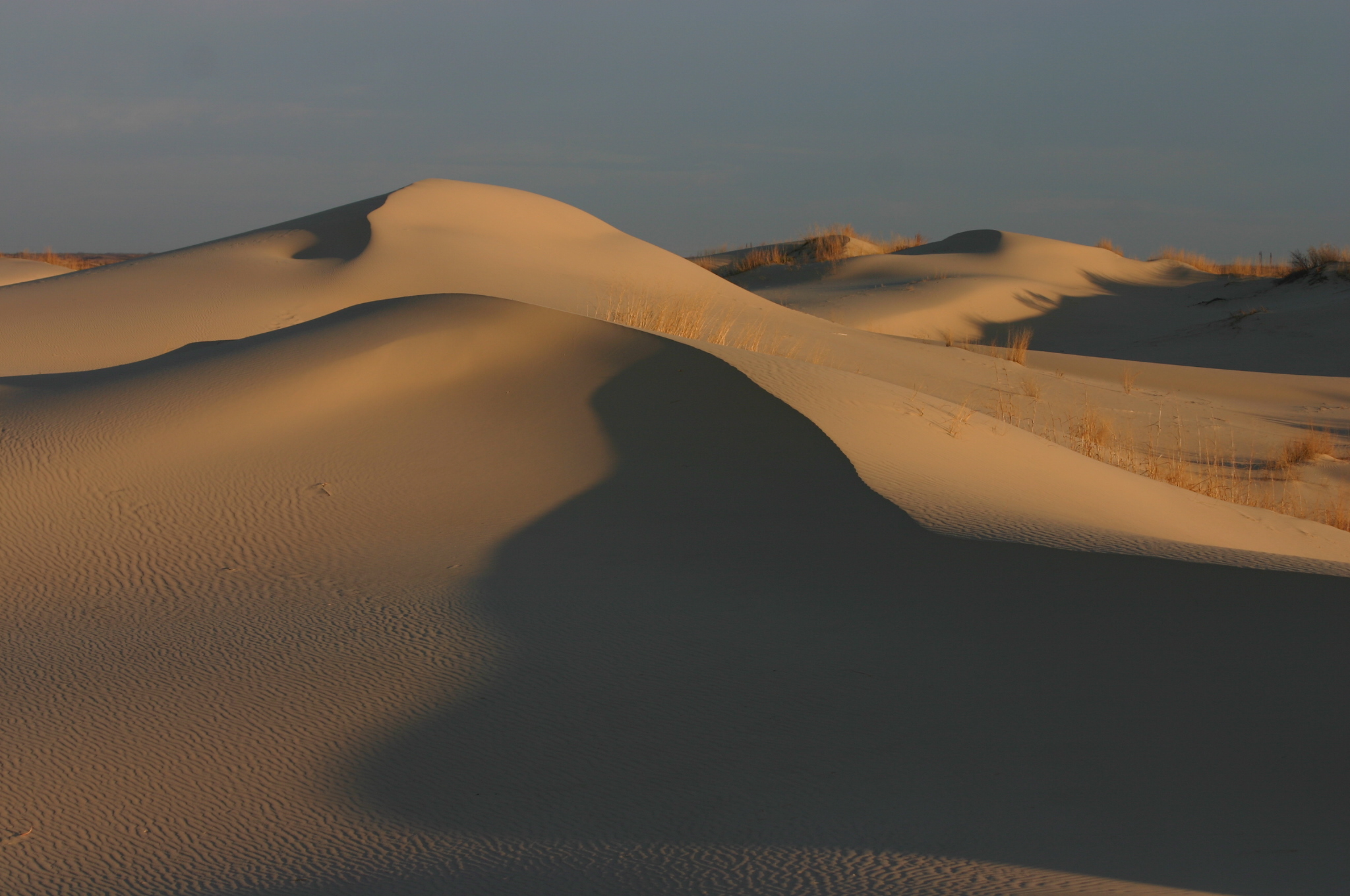 Sand dunes with long shadows cast by the setting sun. Sparse vegetation is visible in some areas.