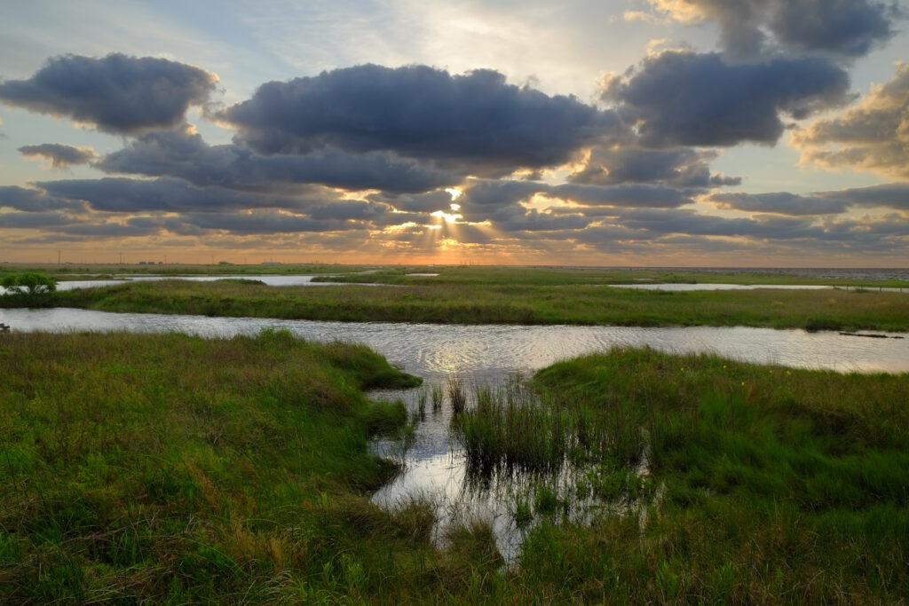 Sunrise over a marshland with sunbeams breaking through thick clouds, casting light on grassy patches and water channels.