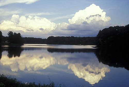 A serene lake reflects billowing white clouds and a blue sky, surrounded by lush, green trees along the shoreline.
