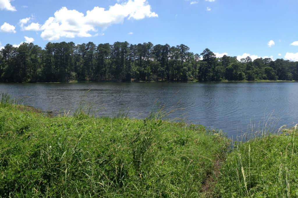 Huntsville State Park Huntsville State Park By Bruce O Neal 2 1024x682