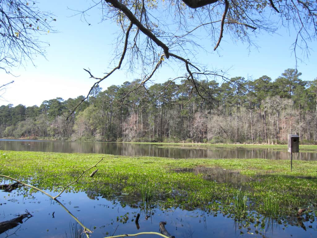 Huntsville State Park Huntsville State Park By Sarah Jo Graham 1 1024x768