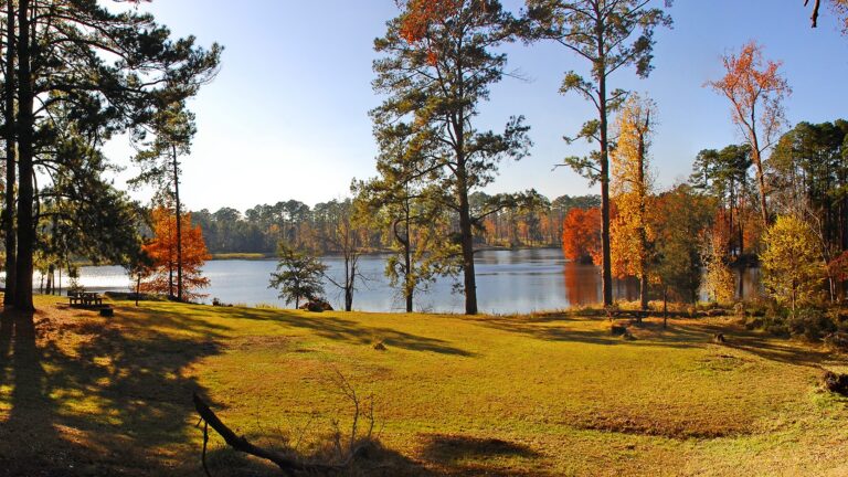Davy Crockett National Forest