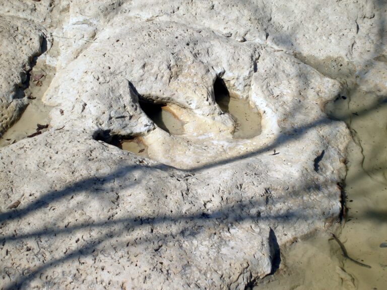 Dinosaur Valley State Park
