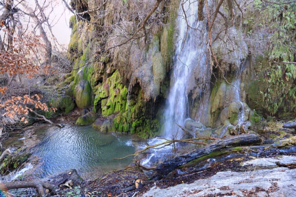 Colorado Bend State Park Gorman Falls pouring over a moss-covered travertine wall into a clear pool at Colorado Bend State Park